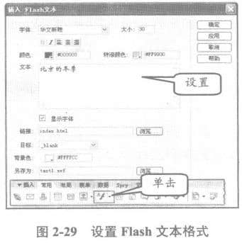 设置flash文本格式